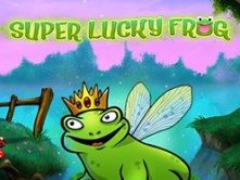 Super Lucky Frog