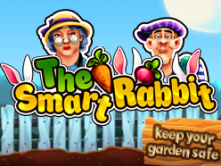 The Smart Rabbit